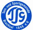 Vereinslogo